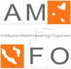 Antilliaanse Mede Financierings Organisatie (Amfo)