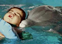 Met dolfijnen zwemmen-2