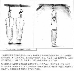 Er zijn drie samenvattingen van de bevindingen van het onderzoek gemaakt waarvan één in het Chinees. Hier een pagina met als illustratie hoe Chinezen in Oost-Indië behandeld werden.  ILLUSTRATIES MICHIEL TAN