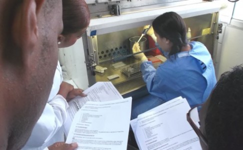 Het Analytisch Diagnostisch Centrum (ADC) bereidt zich voor op het Chikungunya virus