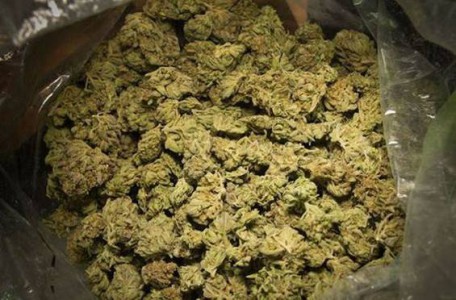 90kg marihuana onderschept