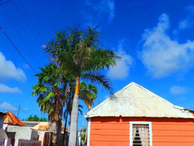 Berg Altena | Picture This Curacao - Manon Hoefman
