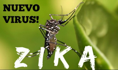 Ook GGD alert op zika
