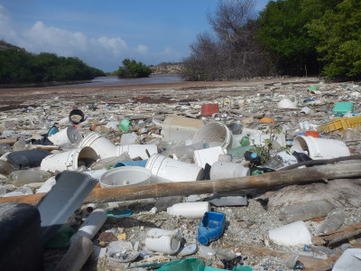 Nieuwe poging  om de mangroves van Ascencion en Playa Charomba schoon te maken
