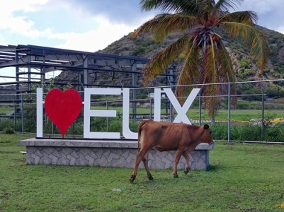 Boodschappen op Sint Eustatius zijn bijna twee keer zo duur als in Nederland | foto: Elisa Koek