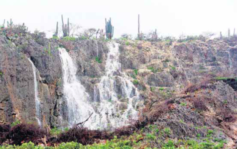 Behalve overlast leverde de regen ook mooie plaatjes op. Deze waterval stroomde van de rotsen bij de vlakte van San Pedro. Een bewoonster van dit gebied gaf aan dat zij dit in 30 jaar niet had meegemaakt | Foto Xavora van der Biest
