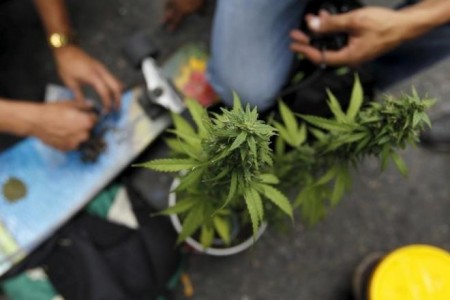 Colombia To Legalize Medical Marijuana Under Presidential Decree