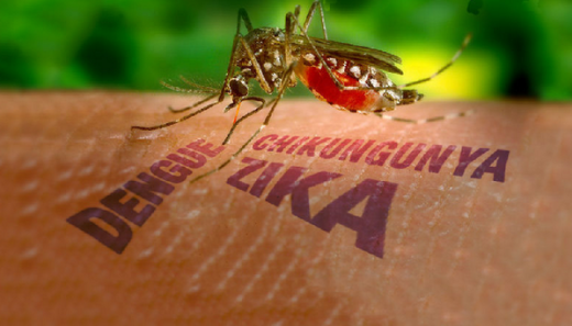 Zika virus grijpt om zich heen 