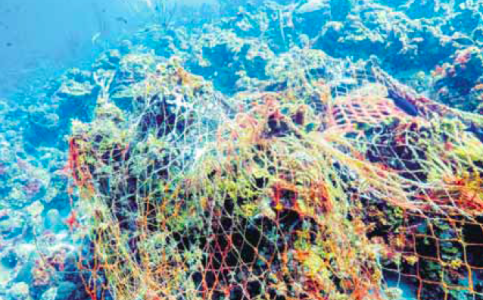 Op vrijwel alle onderzochte duiklocaties werd afval aangetroffen, zoals ook dit visnet | Foto Waitt:Joe Lepore