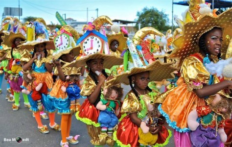 Carnavalsseizoen van start in het nieuwe jaar | Foto Bea Moedt