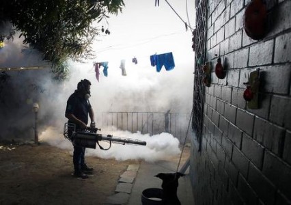 Een medewerker van het ministerie van Volksgezondheid probeert de muggen uit te roken die het zikavirus overbrengen | Foto: EPA