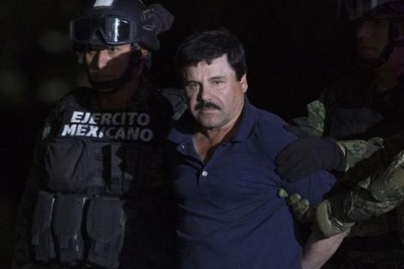 Een op het oog verwilderde Chapo wordt afgevoerd. Foto: PPE