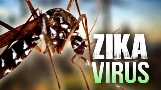 Flexibele opstelling reisorganisaties bij zorg om zika-virus