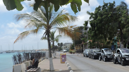 De palmbomen op de Boulevard van Kralendijk hebben het zwaar