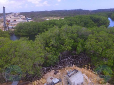 Aruba mangroves brug | NoticiaCla