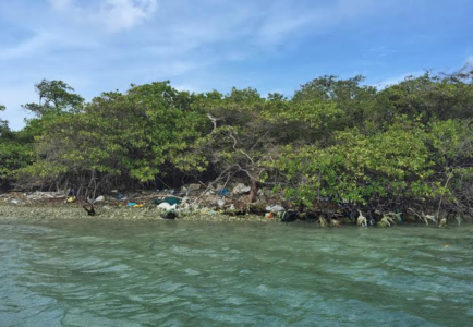 Afval op een rif-eiland aan de andere kant van het lagoen | foto: Ariën Rasmijn