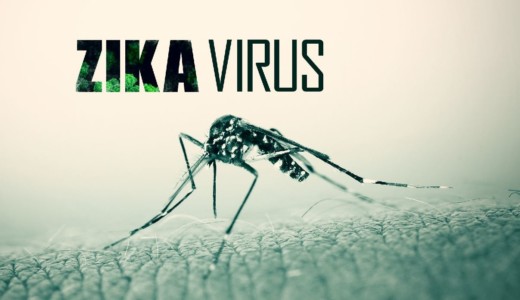 zika-virus dengue