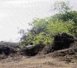 De werkzaamheden die bij de mangroven bij Piscadera  uitgevoerd.