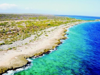 De erven Maal:  “Elke ontwikkelaar op Oostpunt zal ervoor zorgen dat het koraal als toeristische duikattractie behouden blijft. Dat is in zijn eigen belang.”  