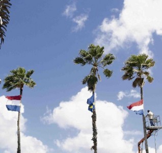 De vlaggen hingen hoog in de palmbomen.
