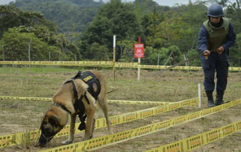 FARC gaat landmijnen in Colombia opruimen